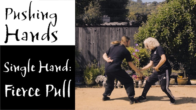 Push Hands 20: Single Hand - Fierce Pull