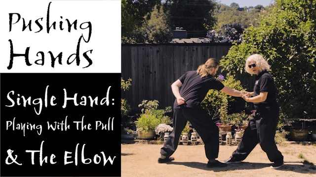 Push Hands 18: Single Hand - Playing with the Pull and the Elbow