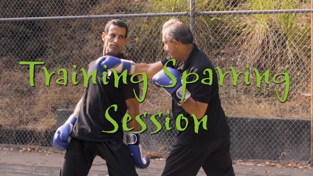 Sparring Training Session Demo