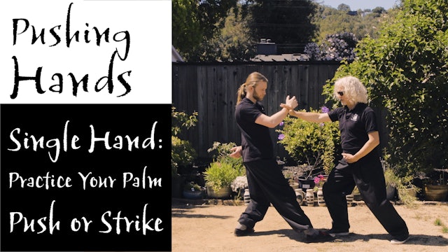 Pushing Hands 15: Single Hand – Practicing Palm Push Or Strike