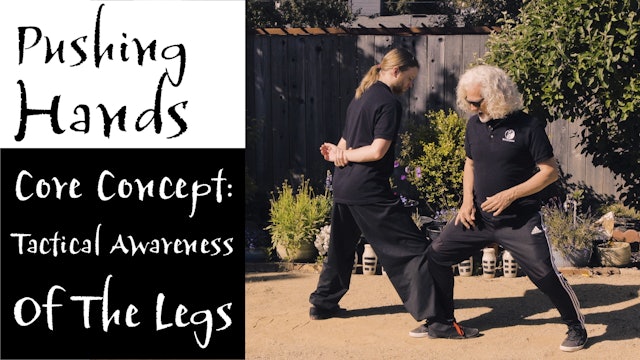 Pushing Hands 11: Core Concept - Tactical Awareness of the Legs