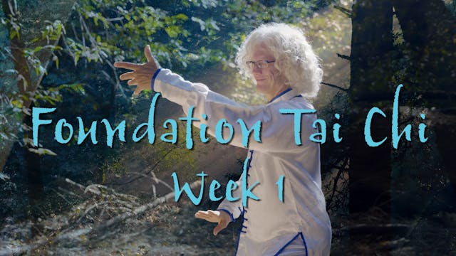 Foundation Tai Chi: Week 1