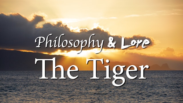Philosophy and Lore 17: The Tiger
