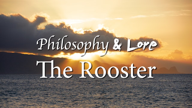 Philosophy and Lore 19: The Rooster
