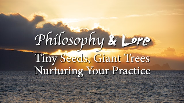 Philosophy and Lore 7: Tiny Seeds and Giant Trees, Nurturing your Practice