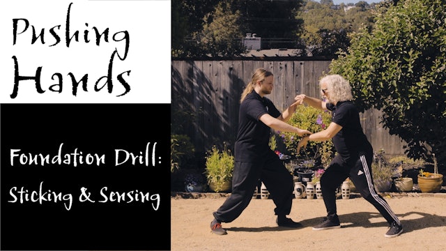 Pushing Hands 6: Foundation Drills - Sticking and Sensing