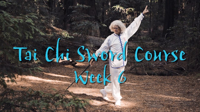 Tai Chi Sword: Week 6
