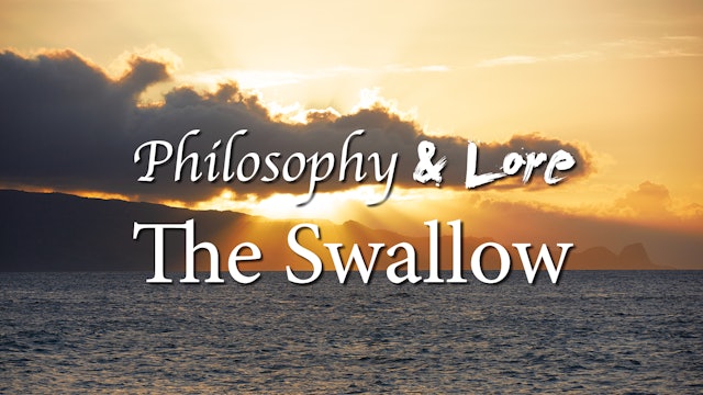 Philosophy and Lore 20: The Swallow