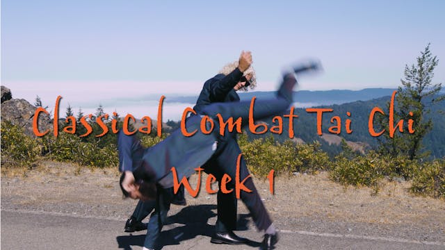Classical Combat Tai Chi: Week 1