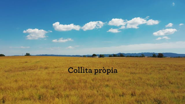 Collita pròpia