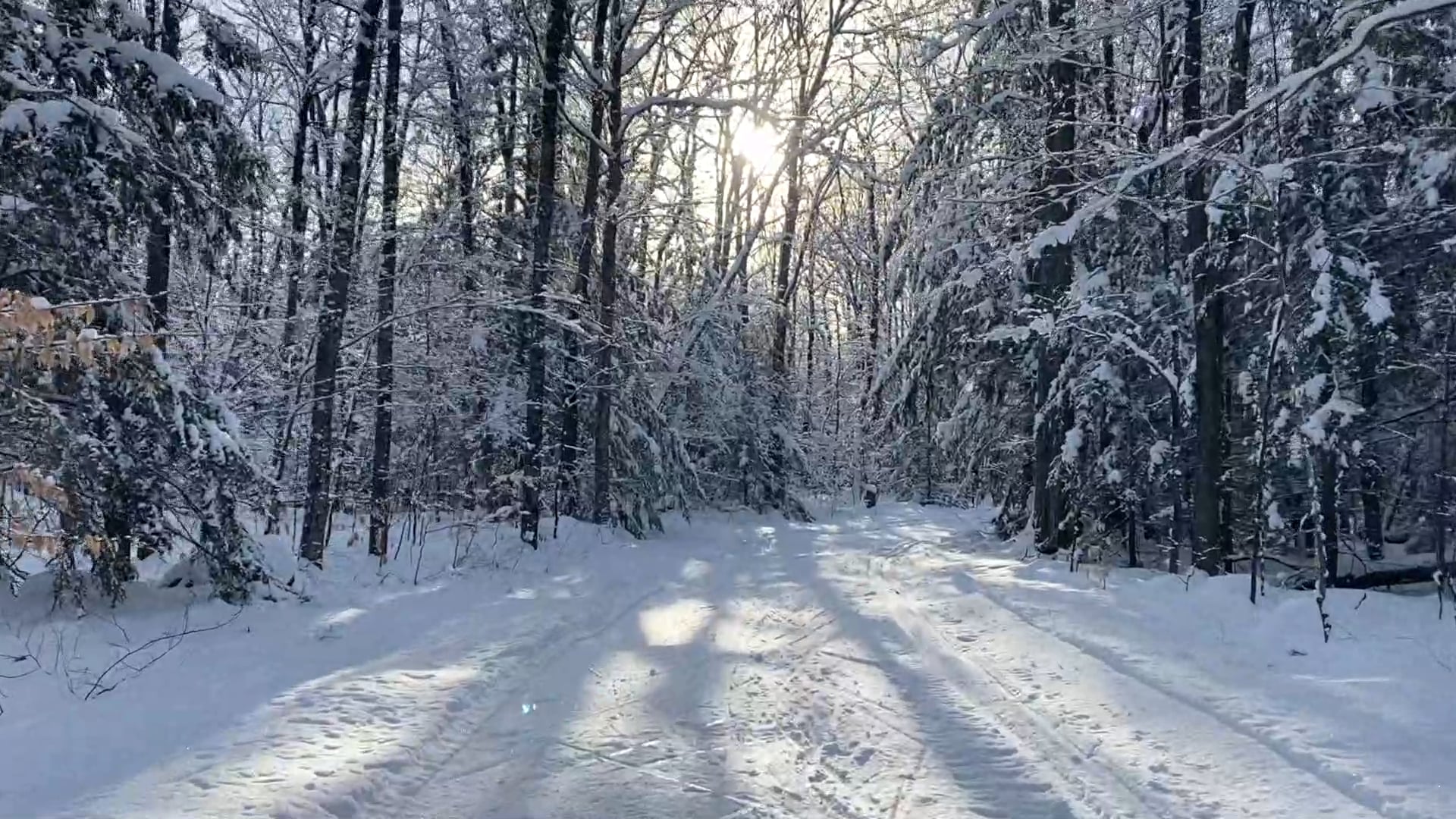 Basic Skate #1 (Overview)