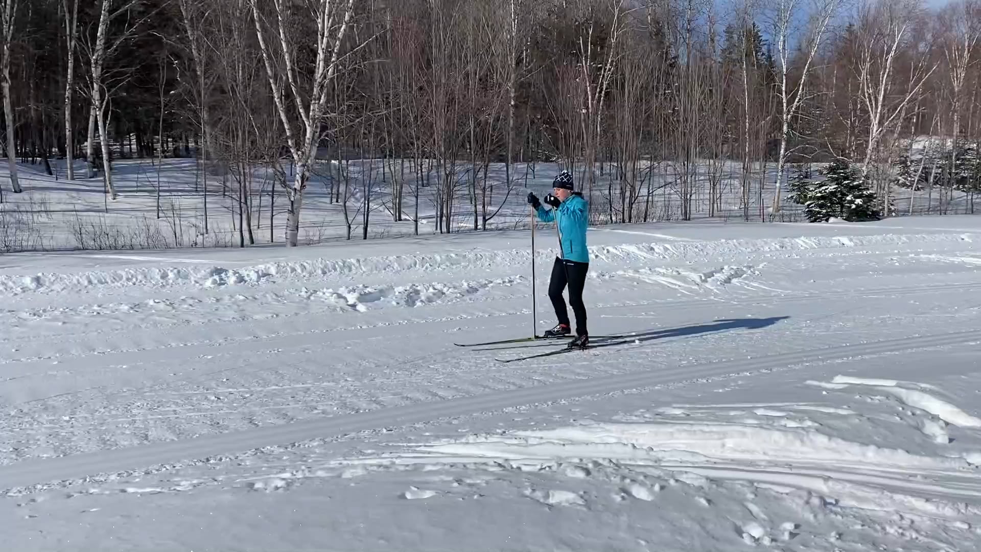 Basic Skate #10 (Upper Body Emphasis - 4 Poles + 4 Skates)