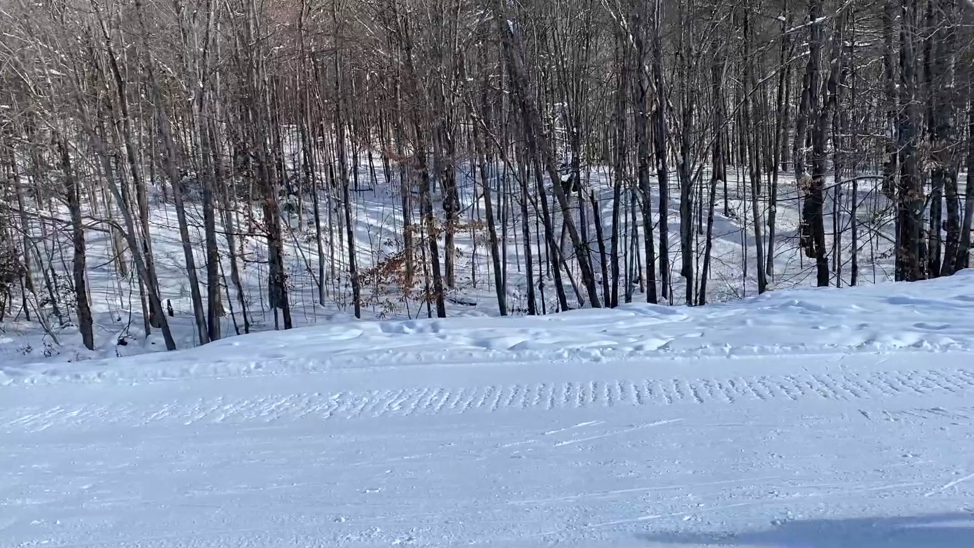 Basic Classic #2 (Legs Only Skiings)