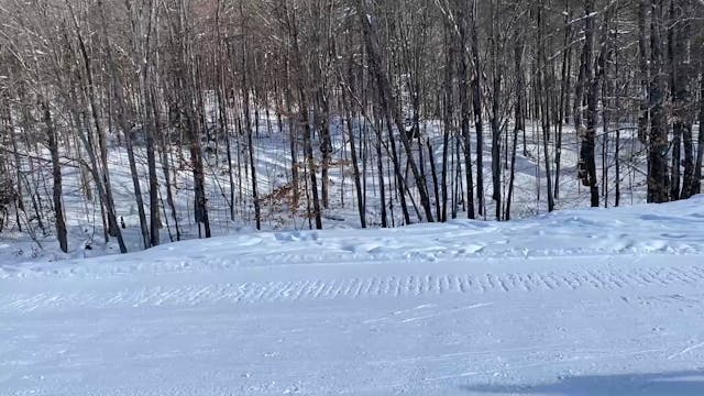 Basic Classic #2 (Legs Only Skiings)