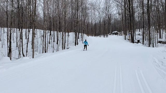 Basic Classic #11 (Climbing in the Tr...