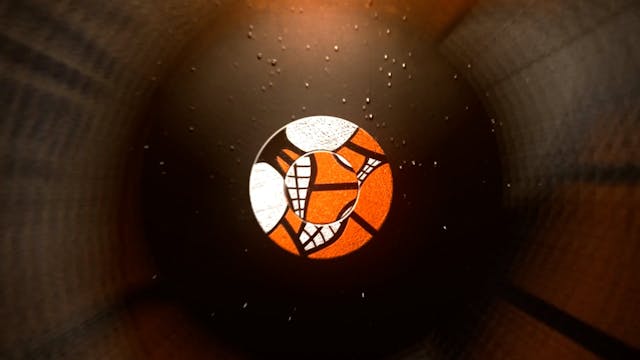 Shooting Basics - Training Your Release