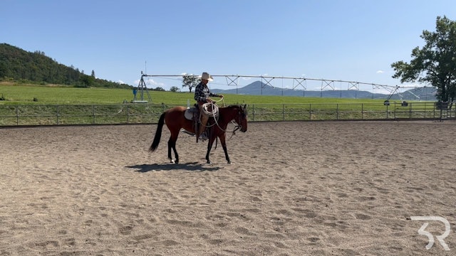 Double Rafter C:  Introducing Stopping with Two Reins