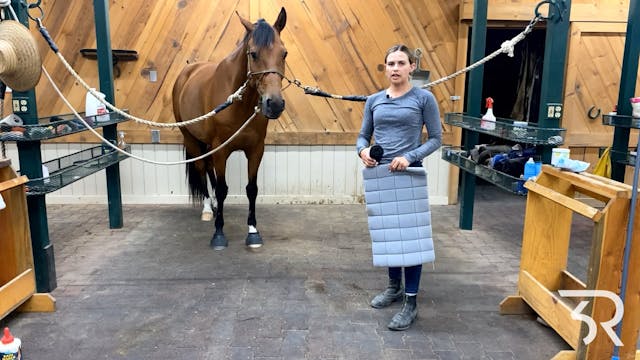 Horse Management: Standing Wraps 