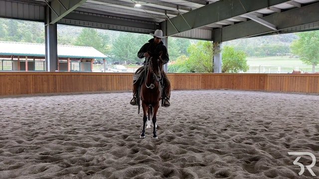 Double Rafter C:Introducing Walk/Trot Transitions and Leg Yielding to Evelyn