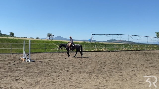Double Rafter C: Introducing Walk Canter Transitions with Benji