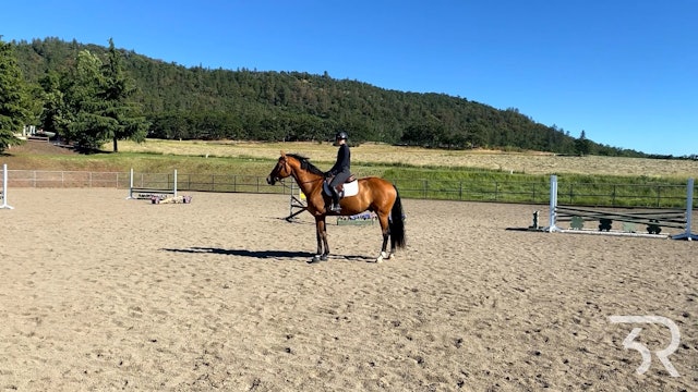 Double Rafter C: Position in and English Saddle 