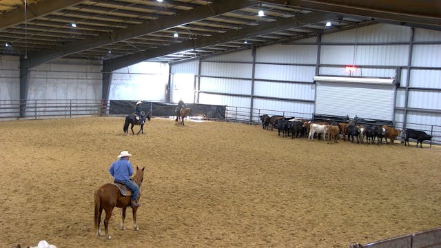 East Texas Stock Horse Show at Longhorn Event Center - Part 2