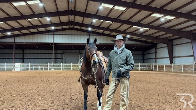 Rockin X: Hackamore with Olive Day 2
