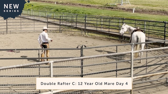 Double Rafter C: 12 Year Old Mare Day 4