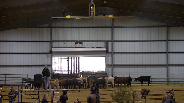 East Texas Stock Horse Show at Longhorn Event Center - Part 1