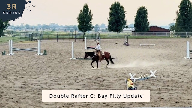 Double Rafter C: Bay Filly Update