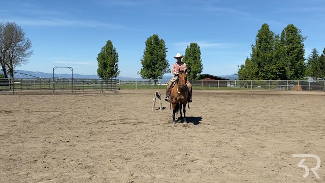 Double Rafter C: Roping for Beginners 3