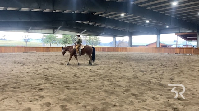 Double Rafter C: Stopping with Different Hind Feet 