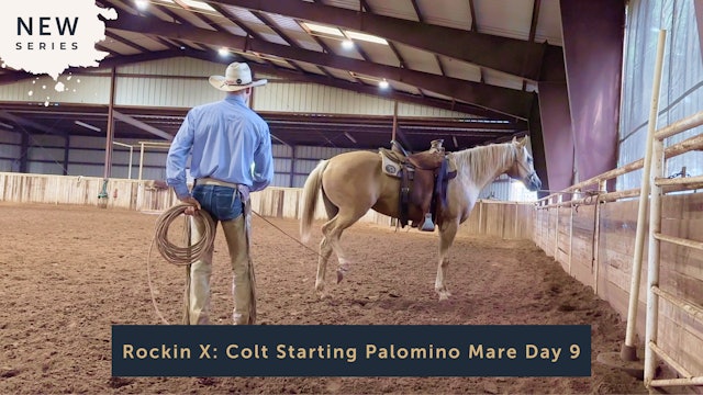 Rockin X: Colt Starting Palomino Mare Day 9
