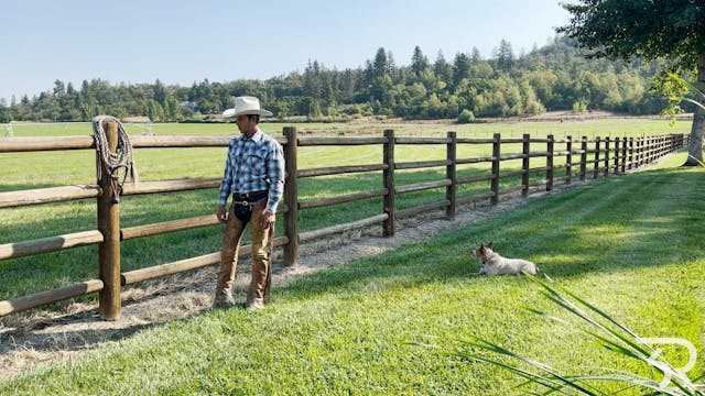 Double Rafter C: How to Tie a Hackamore