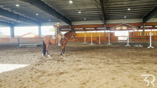 Double Rafter C: Getting a Horse Responsive to your Legs