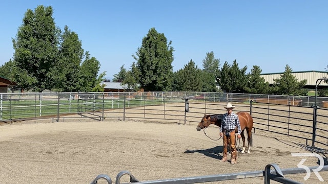 Double Rafter C: Bay Filly Day 1 