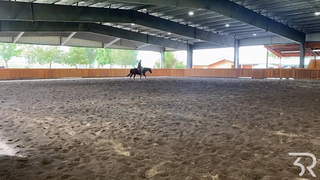 Double Rafter C: Advanced Canter Work with Norman