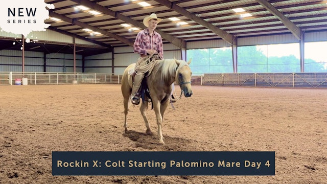 Rockin X: Colt Starting Palomino Mare Day 4