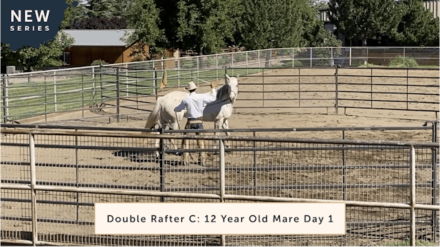 Double Rafter C: 12 Year Old Mare Day 1