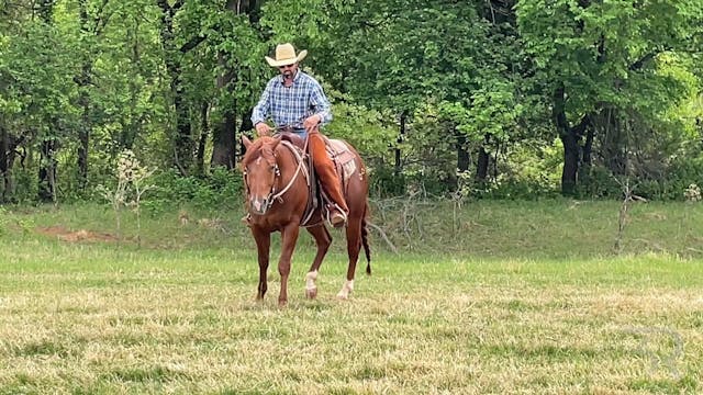 Sleeping Dog Ranch: Introduction of t...