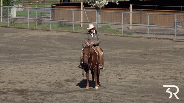 Double Rafter C: Safely Ponying Horses 