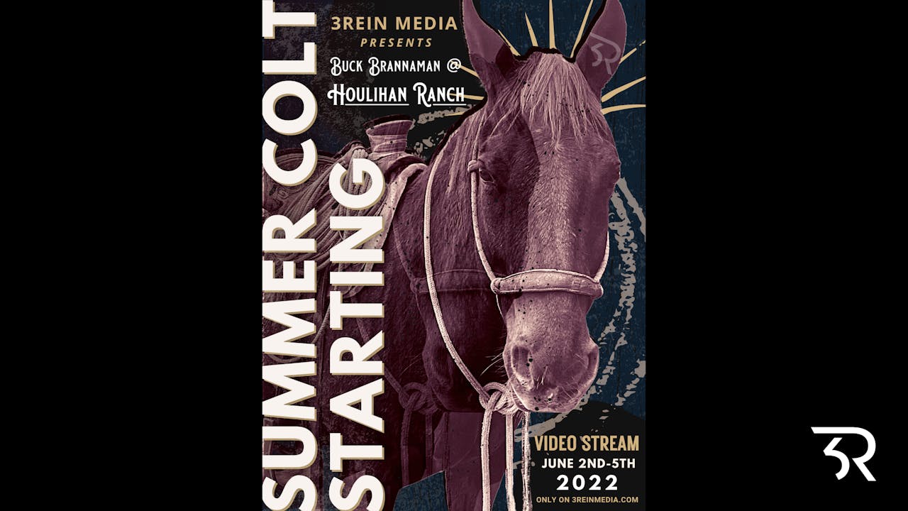 Houlihan Ranch Summer Colt Starting Sunday 2022