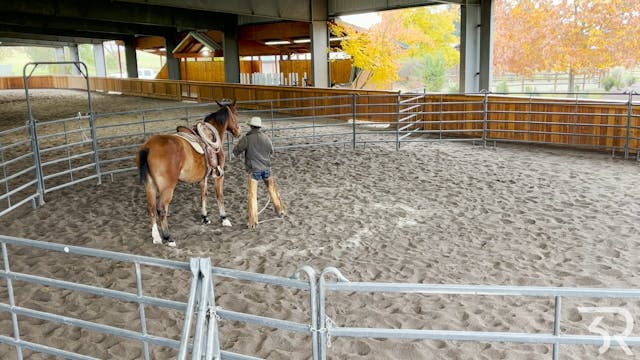 Double Rafter C: Picking up a Hind Fo...