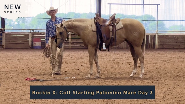 Rockin X: Colt Starting Palomino Mare Day 3