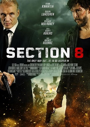 Section.8