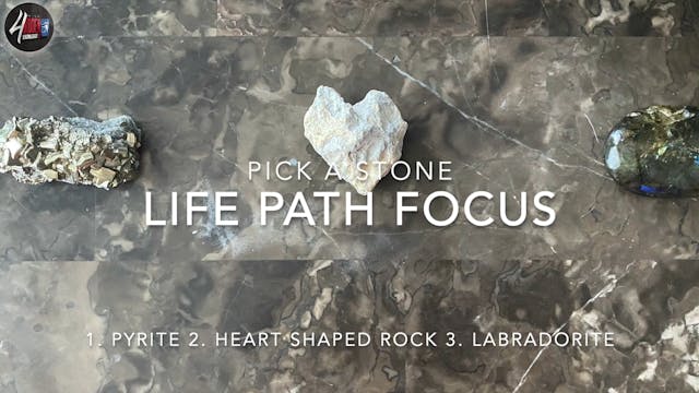 Life Path Focus 