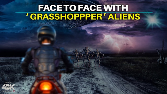 a Close Encounter with ‘Grasshopper’ Aliens on a lonely Road in the Yukon 