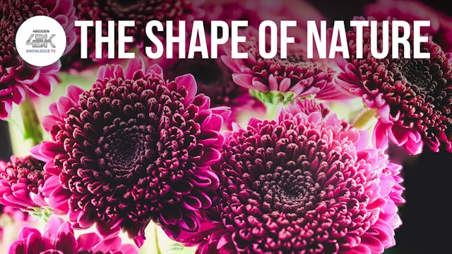 The Best Documentary Ever - THE SHAPE OF NATURE