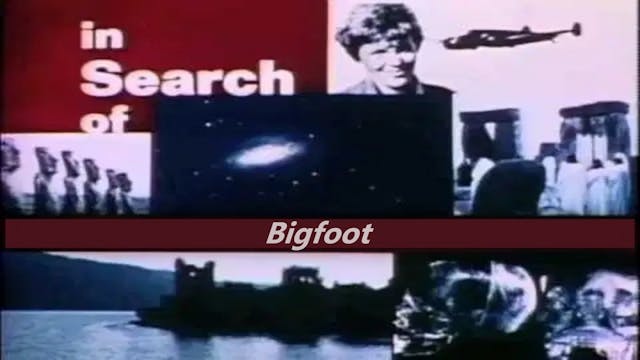 In Search of... Bigfoot