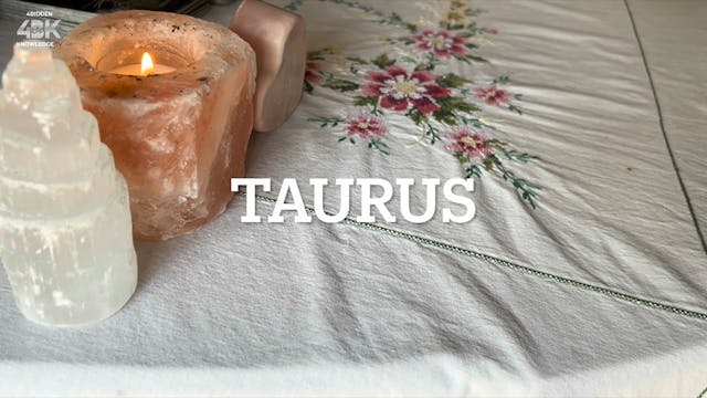 Taurus - Understanding What It's Goin...